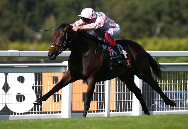 Too Darn Hot has been all the rage for the Irish 2,000 Guineas