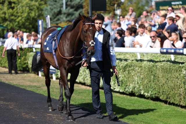 Constitution Hill in the parade ring at Kempton