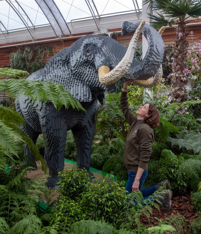 Great Brick Safari