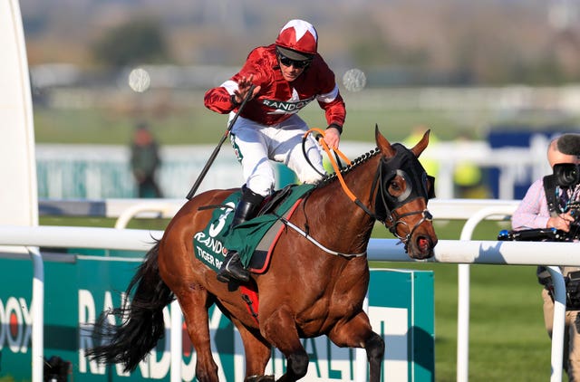 Dual Grand National winner Tiger Roll has been one of Gordon Elliott's biggest stars