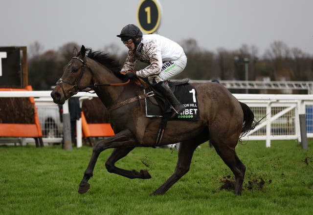 Constitution Hill was brilliant in the Tolworth Hurdle at Sandown