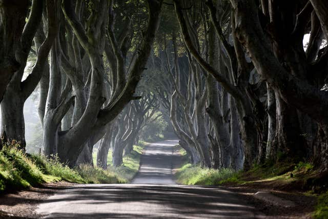 The Dark Hedges near Stranocum were featured in Game Of Thrones