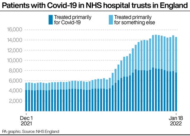 HEALTH Coronavirus Hospitals