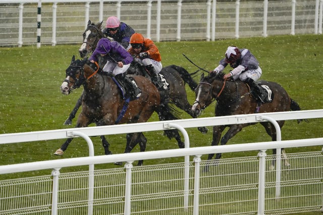 Atalanta’s Boy absolutely loves it at Goodwood
