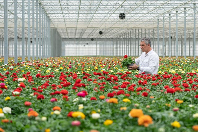Lockdown gardening boom continues