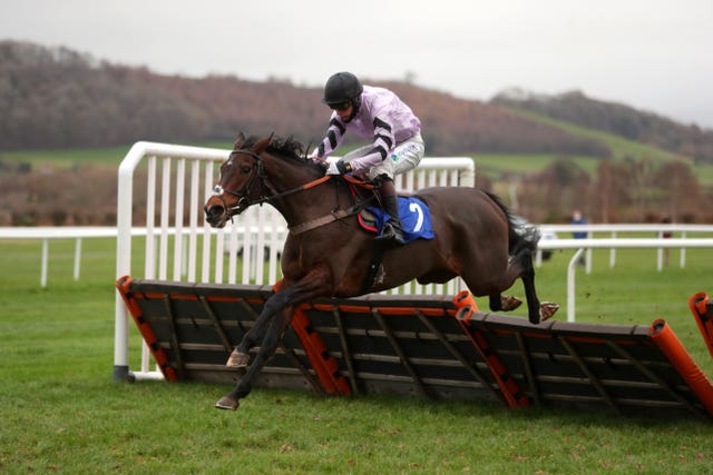 Miranda is one of three runners in the Imperial Cup for trainer Paul Nicholls