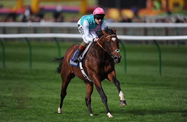 Frankel's debut win at Newmarket is one of Thompson's fondest memories
