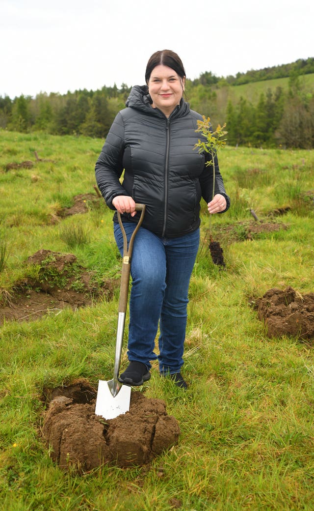 Clyde Climate forest planting
