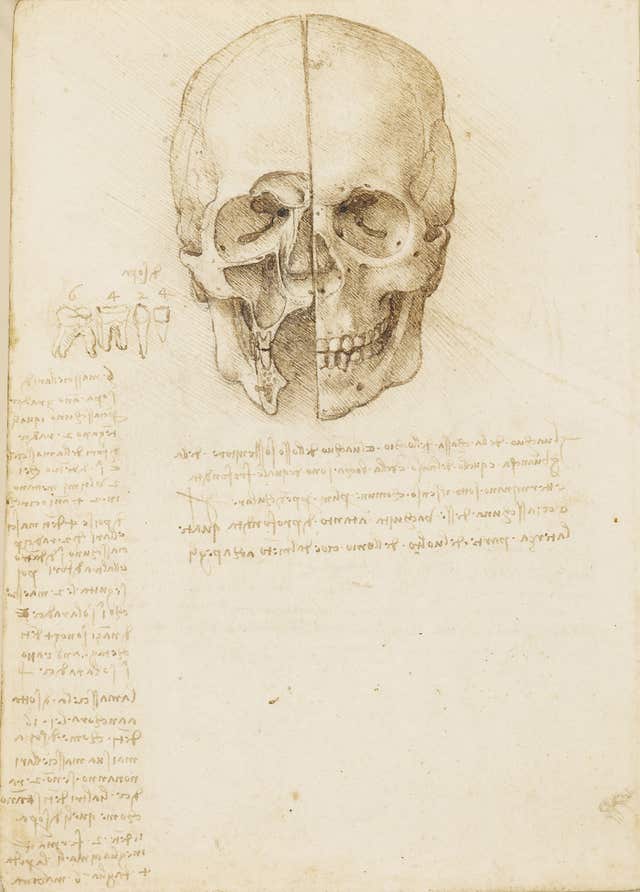A Leonardo da Vinci drawing (Royal Collection Trust)