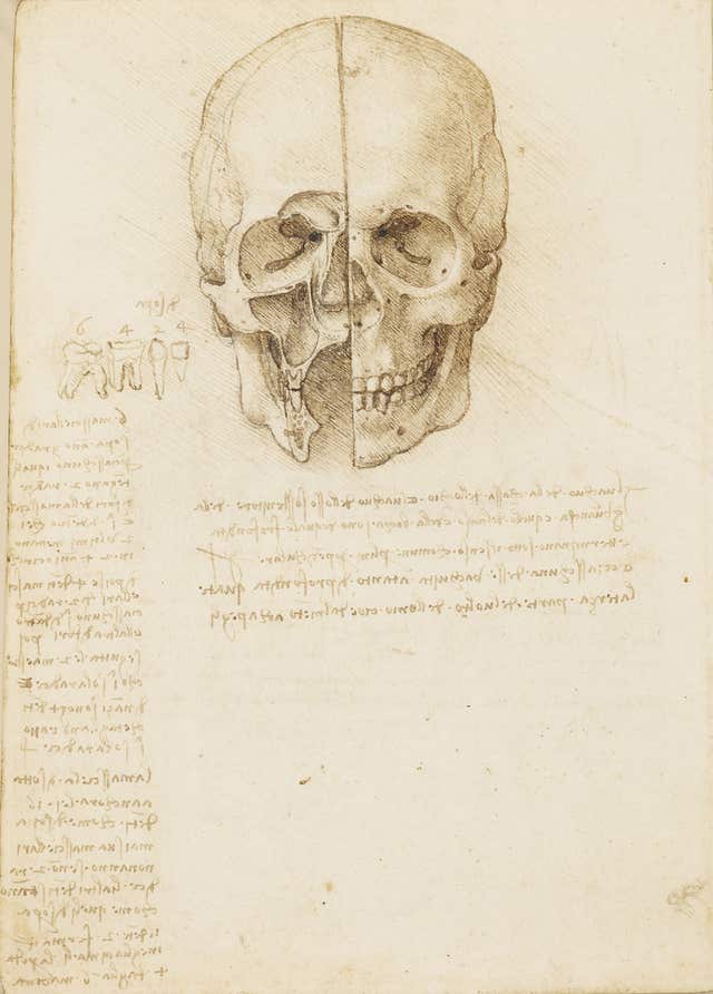 A Leonardo da Vinci drawing (Royal Collection Trust)