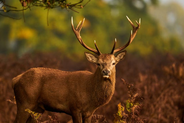 Autumn weather Oct 18th 2022