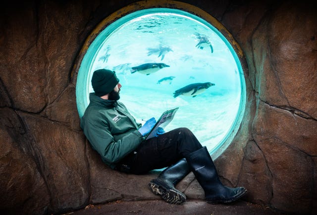 ZSL London Zoo annual stocktake