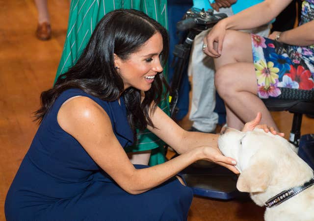 Meghan strokes a guide dog at a reception given by the Governor of Victoria