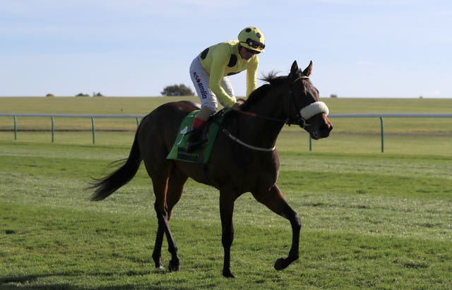 Emaraaty Ana carries the hopes of North Yorkshire trainer Kevin Ryan