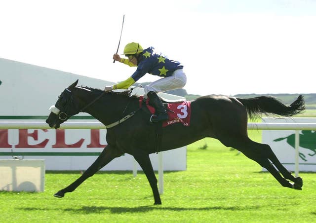 Vinnie Roe and Pat Smullen racing to victory in the Irish St Leger