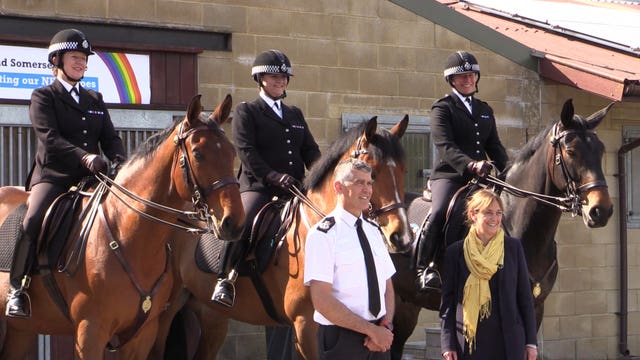 Hero the police horse