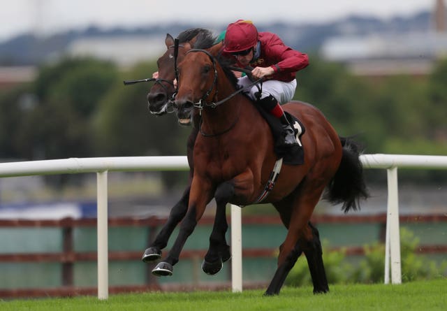 Buckaroo at Galway
