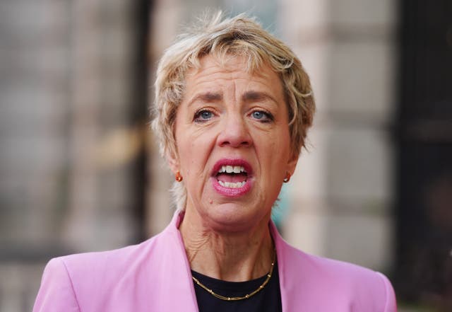 Labour Party leader Ivana Bacik