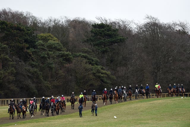 It was a busy morning on the gallops in Newmarket