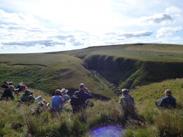 Twitchers looking for the bearded vulture