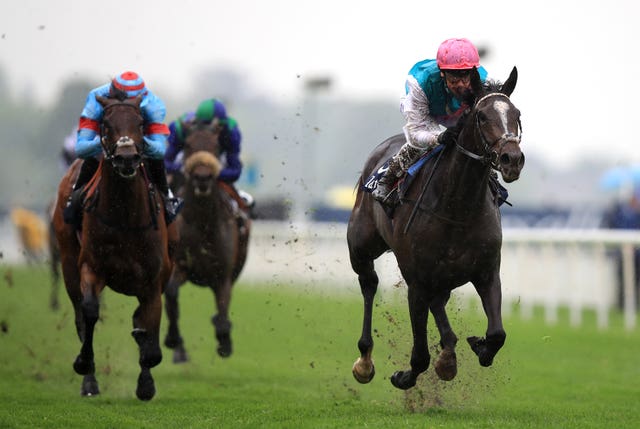 Enable (not pictured) was beaten by her stablemate Shutter Speed (pictured, right) in the Dubai Duty Free Golf World Cup EBF Stallions Conditions Stakes at Newbury in 2017