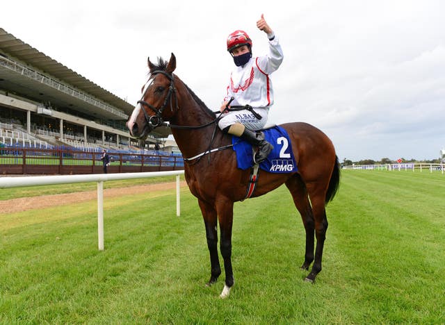 Cadillac is an exciting juvenile for the Harrington team