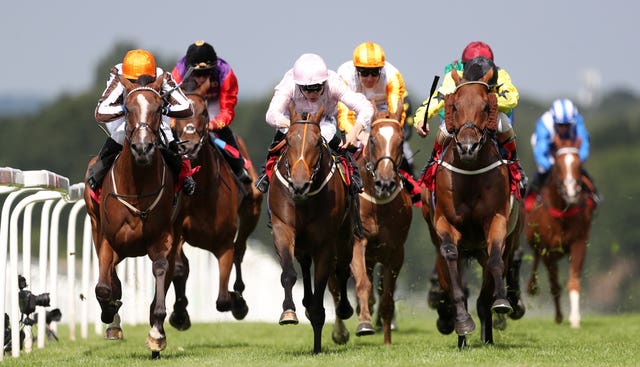 Jazeel (centre) was a winner at Sandown last weekend