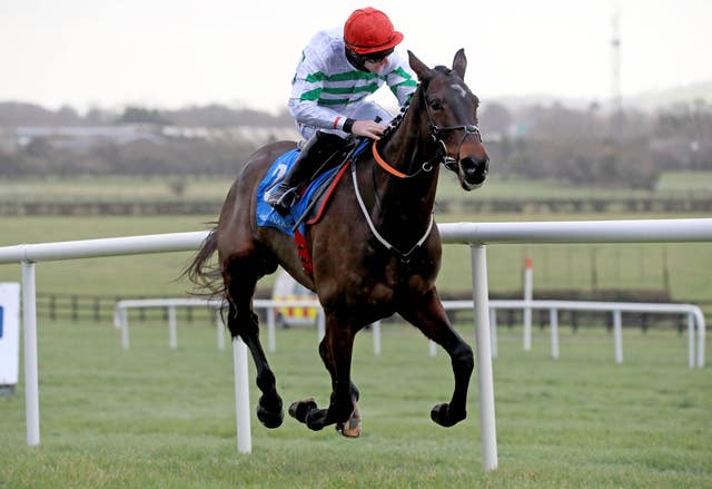 Ginto is one of the Albert Bartlett favourites