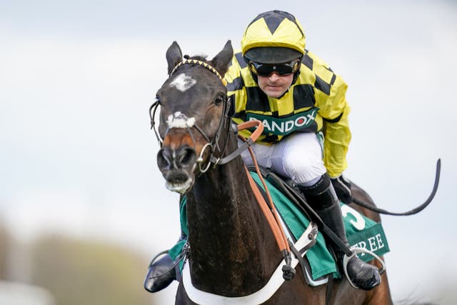 Shishkin in action at Aintree