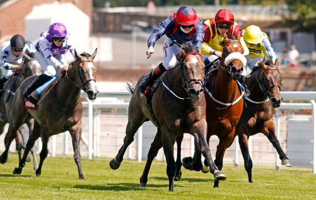 Steel Bull looked a smart colt in the making at Goodwood