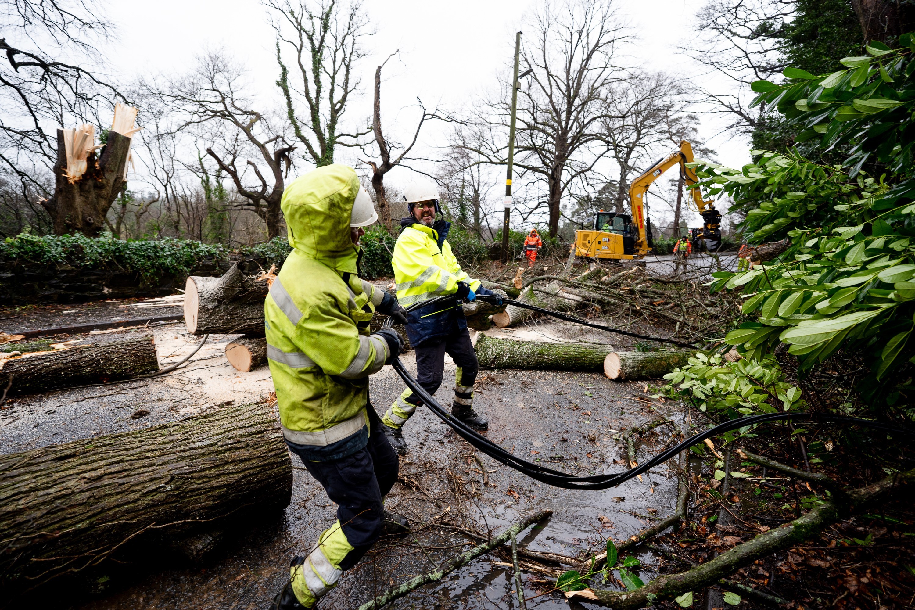 People clearing damage by fallen trees