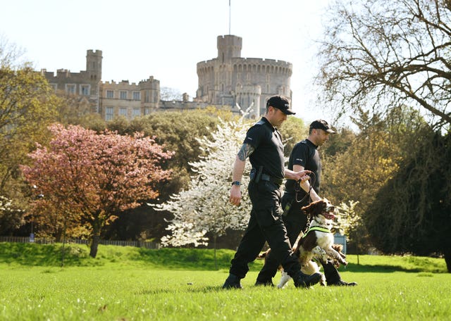 Royal Wedding preparations