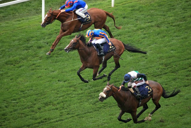 Dashing Willoughby (near-side) got up to land the Queen's Vase