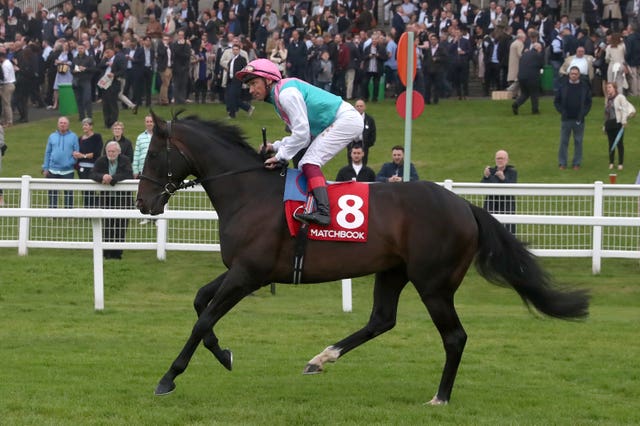 Weekender, who could head to the Longines Sagaro Stakes at Ascot