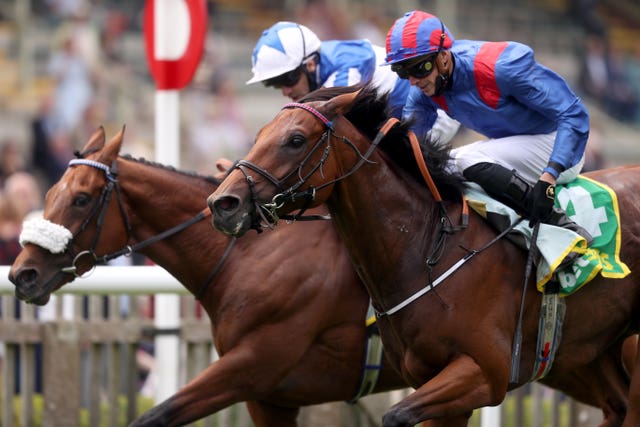 Dubai Honour (right) goes for Sheema Classic gold