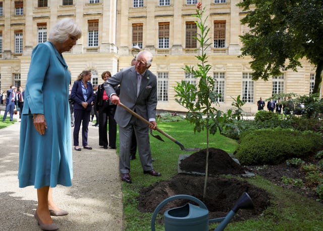 The royal couple planted a loquat leaf oak tree in the gardens of the town hall in Bordeaux