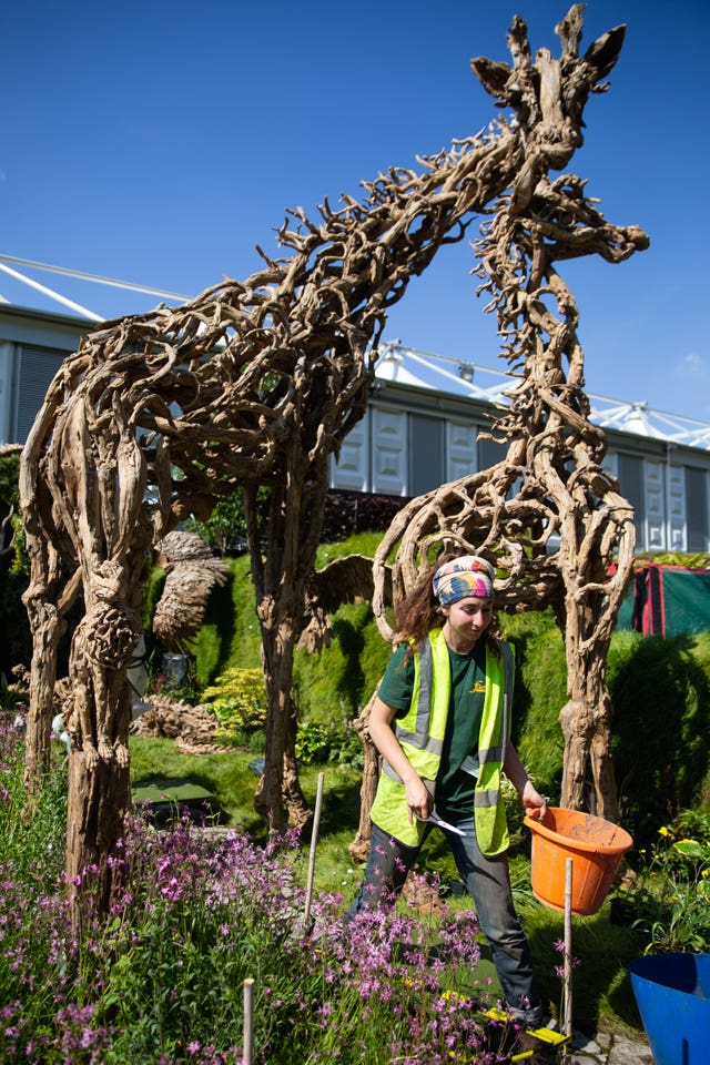 Giraffe sculptures