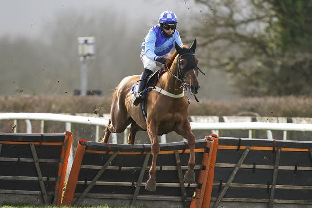 Harry Cobden had an easy time on The Widdow Maker