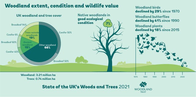 Infographic showing the benefits of woodlands