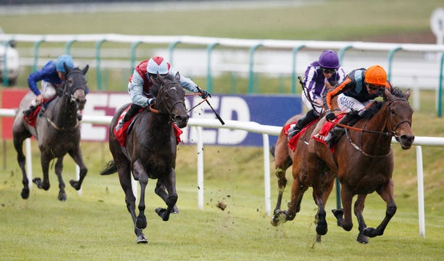 Perfect Clarity on the march in the Betfred Mobile Oaks Trial at Lingfield