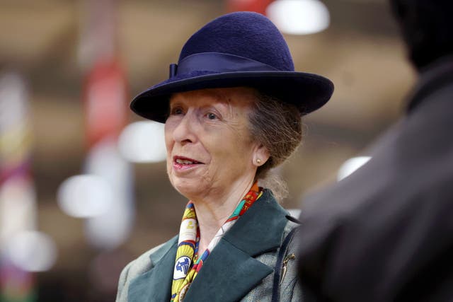 Anne back on engagements at the Riding for the Disabled Association (RDA) National Championships