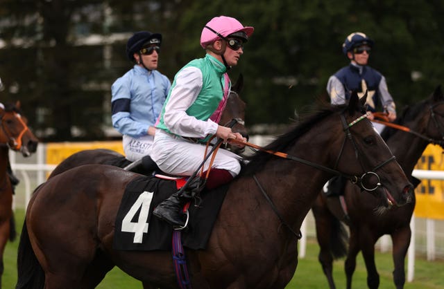 Deodar made a winning debut for Ralph Beckett