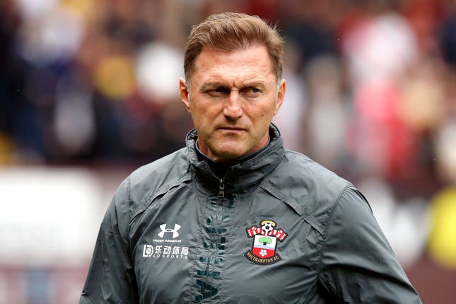 It was a frustrating day for Southampton boss Ralph Hasenhuttl