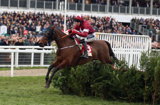 Tiger Roll and Keith Donoghue clear the last in isolation
