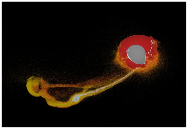 A cross section of a 3D simulation