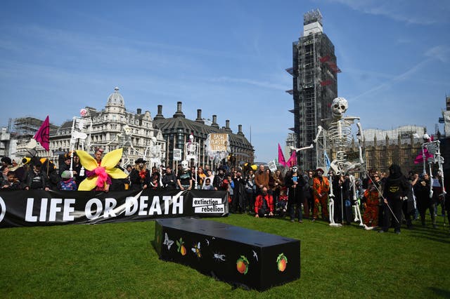 Demonstrators lay Ruby the rhinoceros in Parliament Square