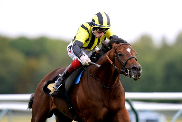 Eldar Eldarov, here ridden by David Egan when winning the British Stallion Studs EBF Maiden Stakes (Div 2) at Nottingham, is set to run at Royal Ascot