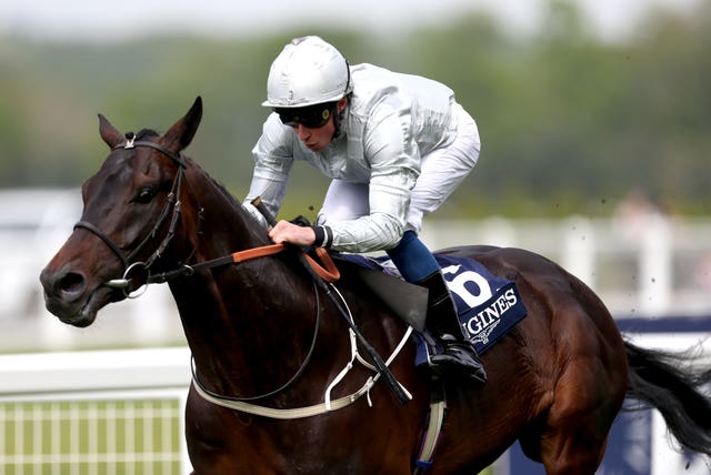 Dee Ex Bee finished second at Royal Ascot