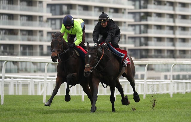 Altior ridden by jockey Nico de Boinville (right) and Epatante ridden by Jerry McGrath during a recent racecourse gallop at Newbury (Andrew Matthews/PA Images)