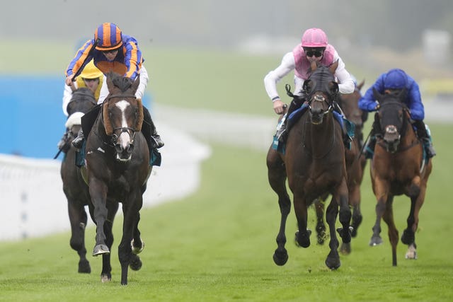 Scandinavia (left) beat older horses to win the Goodwood Cup